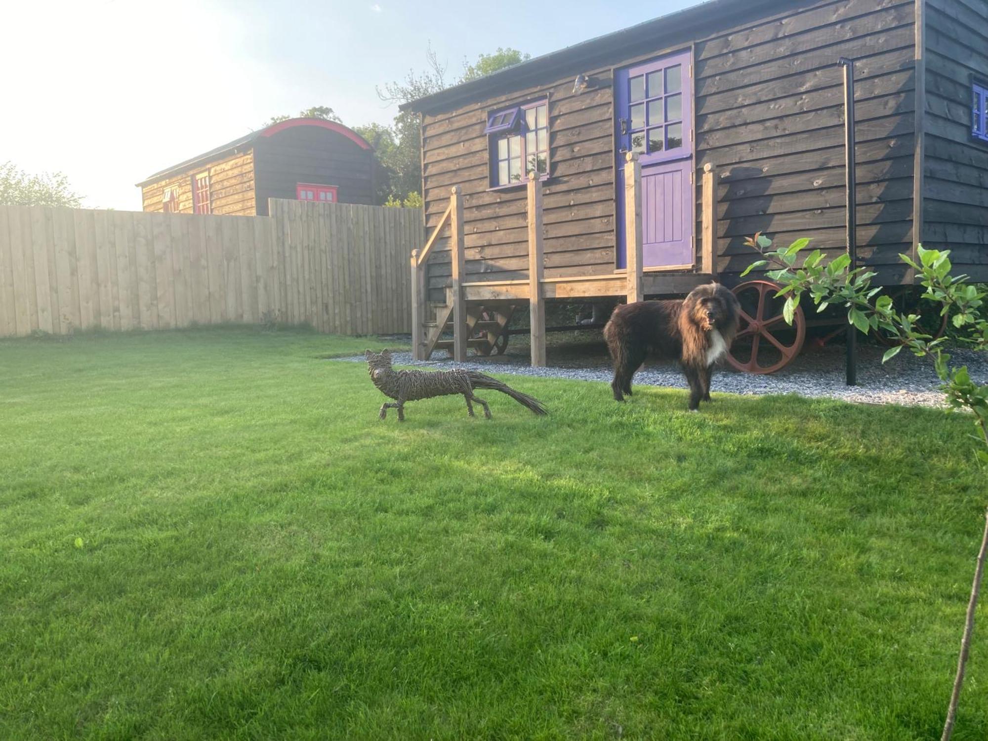 Campsite Fox Shepherd Hut Sidmouth